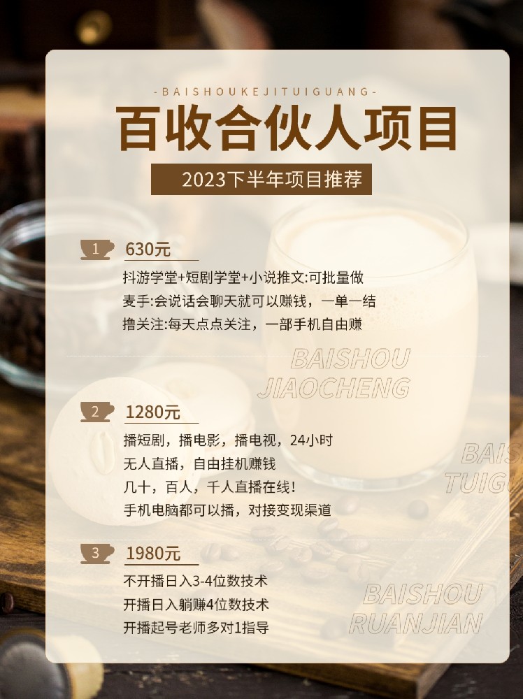 百收网SEO推荐几个合伙创业赚钱的好项目