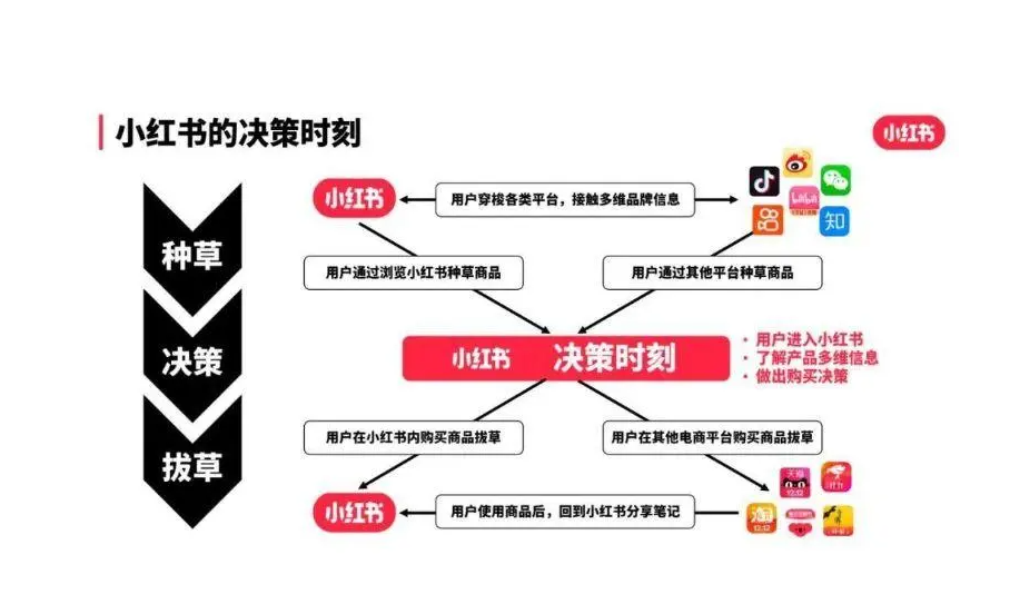 小红书运营引流方法做IP账号的优势