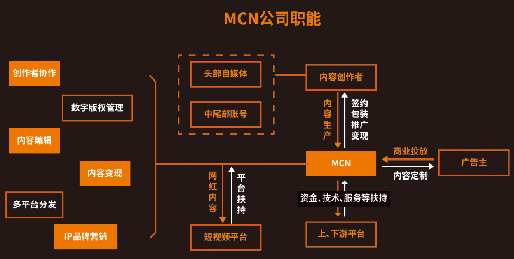 直播达人的公司管理秘籍如何打造高效公司